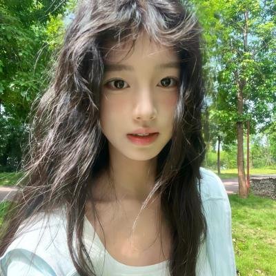 盗贼生涯